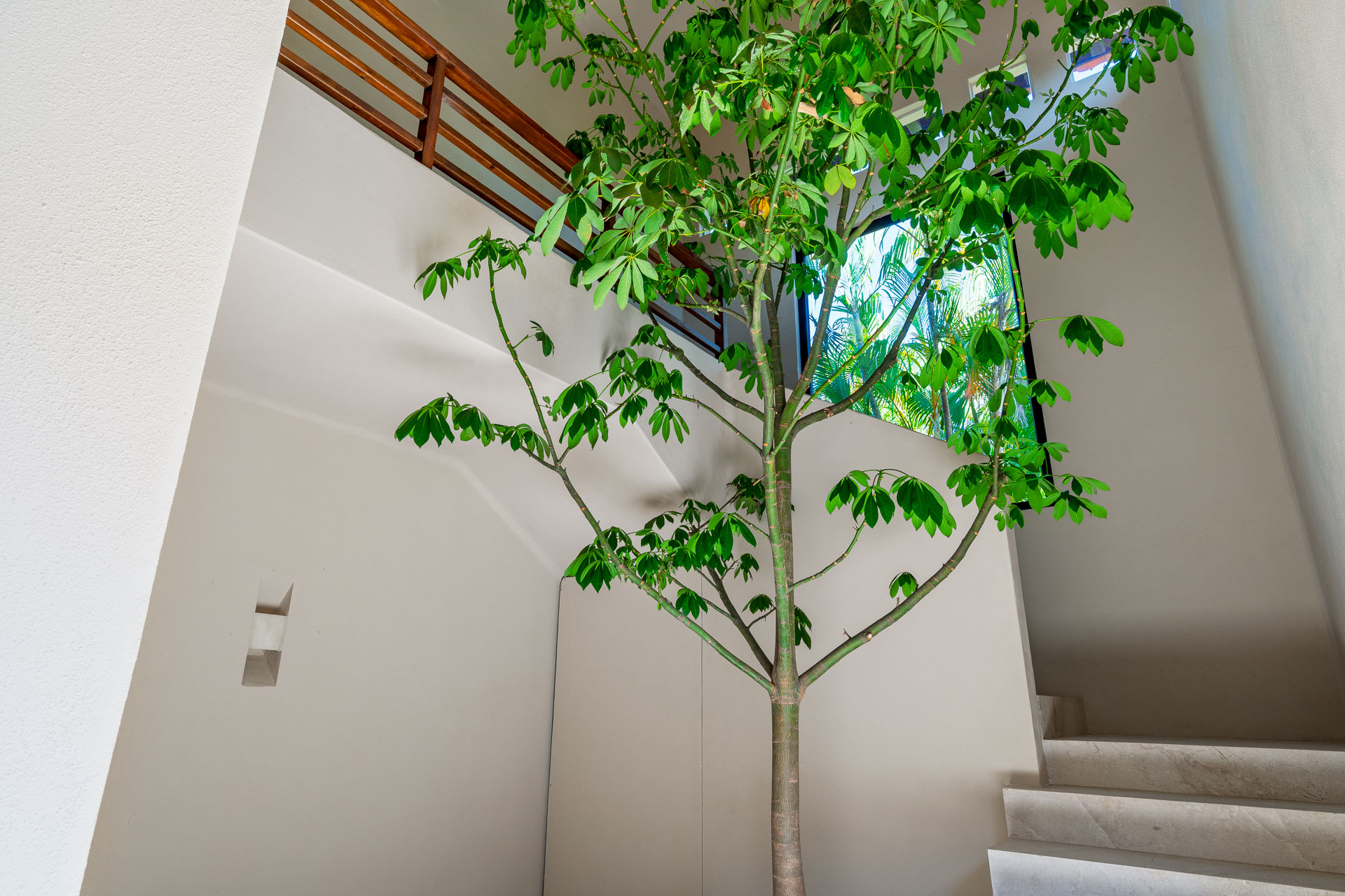 Luxury Rentals Punta Mita - Golf views - Palmas 28-palmas-28-51.jpg