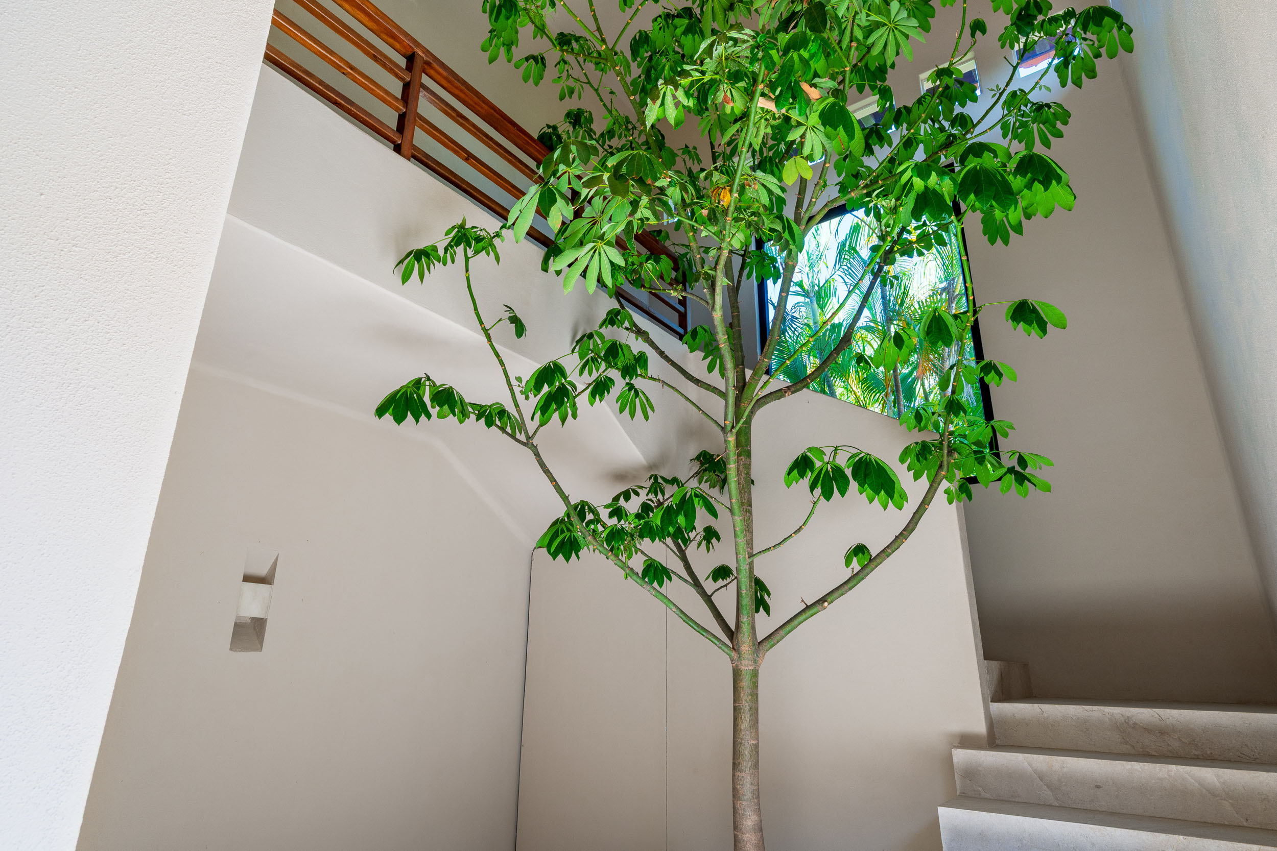 Luxury Rentals Punta Mita - Las Palmas 28 - 41.jpg