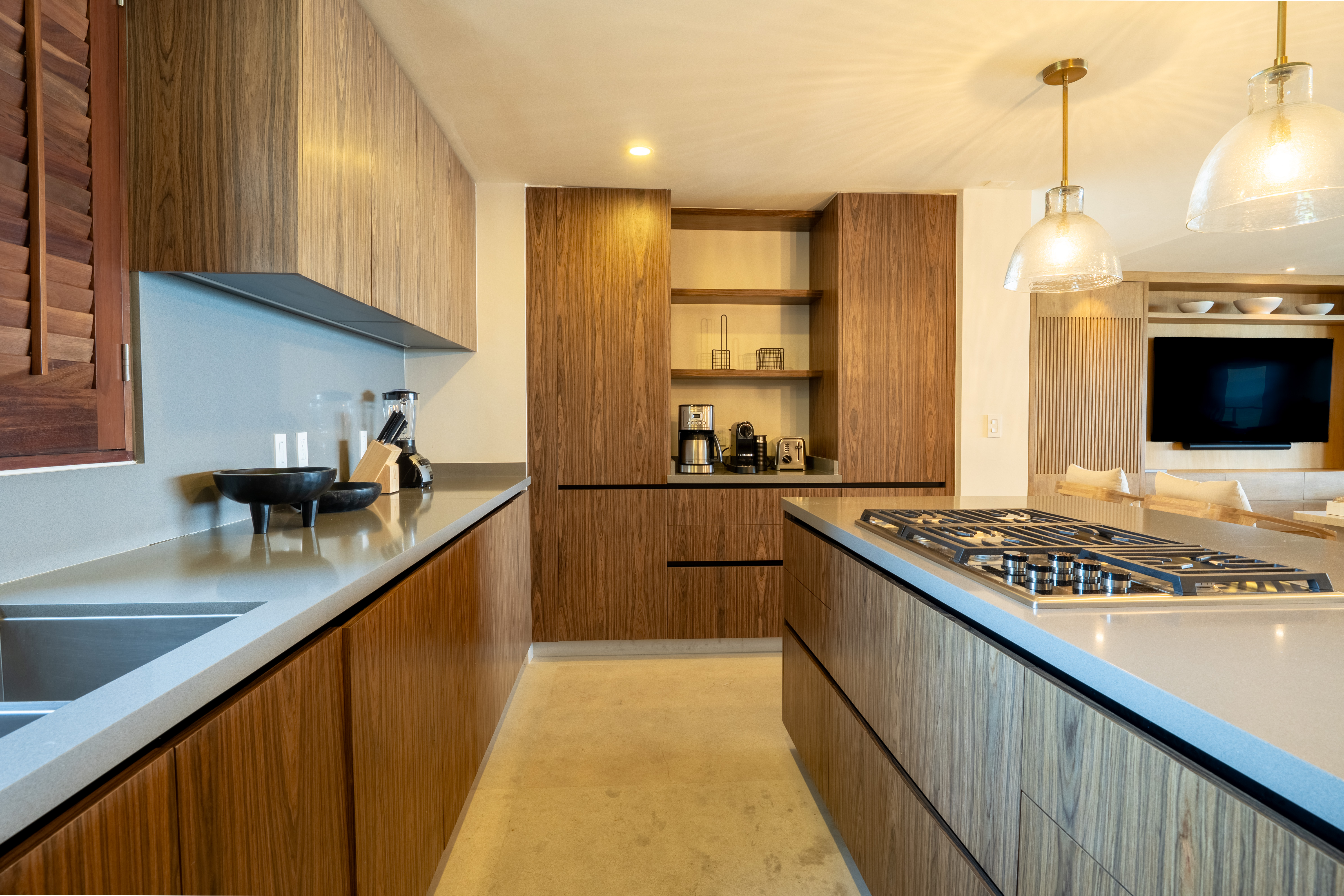 Luxury Mita Rentals - Ocean View - El Encanto 1021-26.jpg